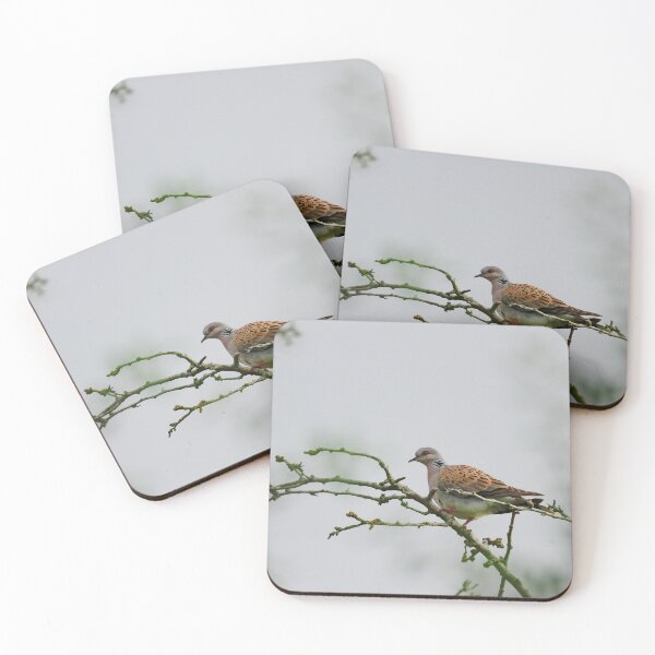 Item preview, A touch of turtle  designed and sold by miradorpictures.
