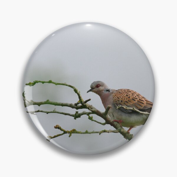 Item preview, Having a stretch designed and sold by miradorpictures.