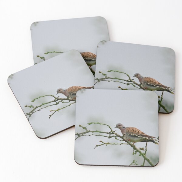 Item preview, Having a stretch designed and sold by miradorpictures.