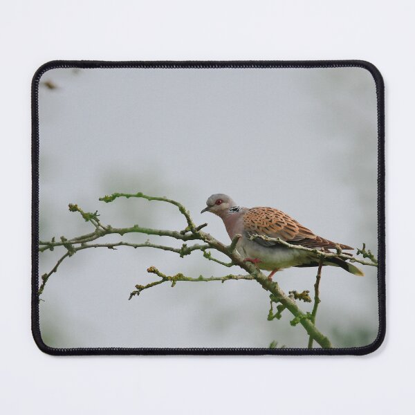 Item preview, Having a stretch designed and sold by miradorpictures.