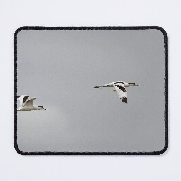 Item preview, Avocet pair in the air designed and sold by miradorpictures.
