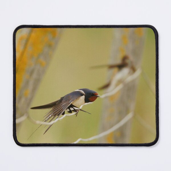 Item preview, Taking flight  designed and sold by miradorpictures.