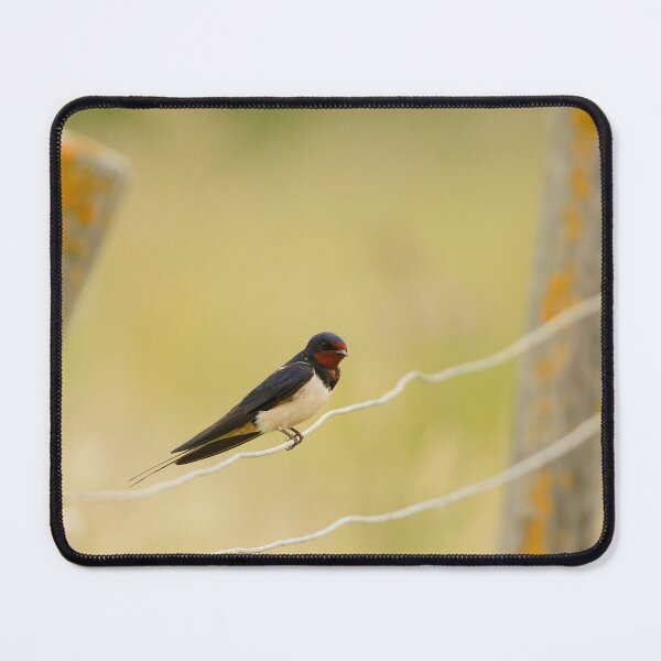 Item preview, Stunning swallow designed and sold by miradorpictures.