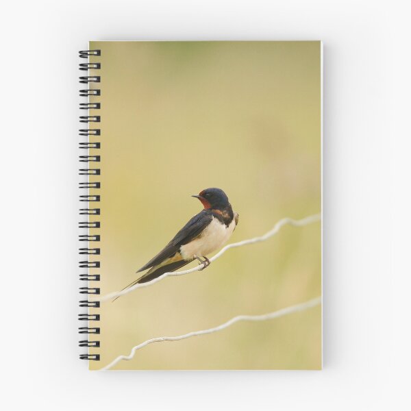 Item preview, Turning heads designed and sold by miradorpictures.