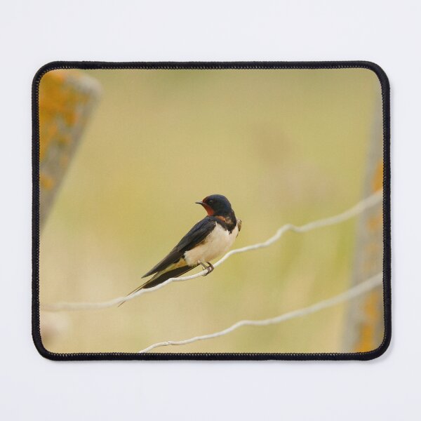 Item preview, Turning heads designed and sold by miradorpictures.