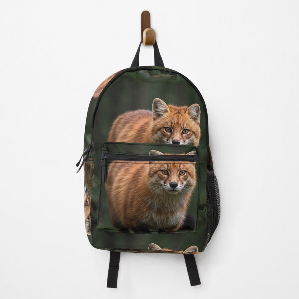 Item preview,  Cat-Fox Hybrid Creature designed and sold by Alta-store.
