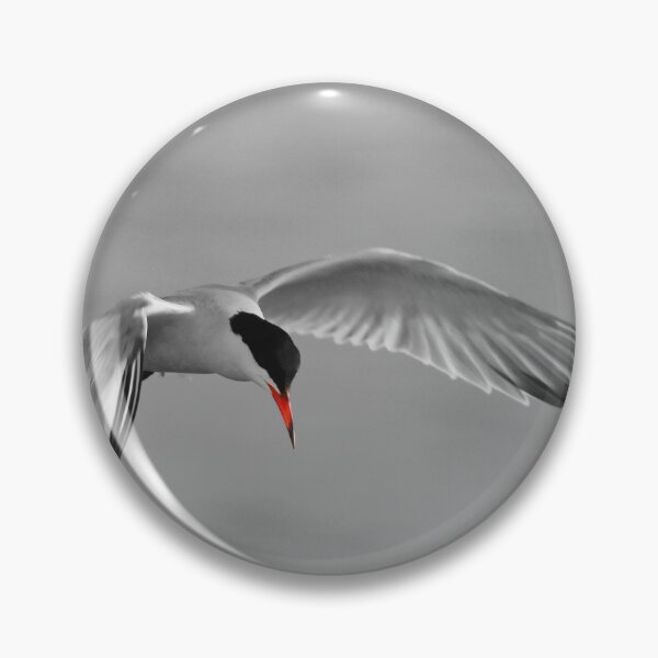 Item preview, Taking a Tern  designed and sold by miradorpictures.