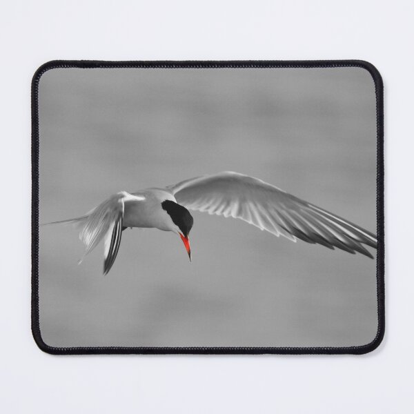 Item preview, Taking a Tern  designed and sold by miradorpictures.