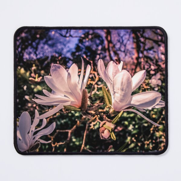 Item preview, Magnolia explosion  designed and sold by Mothboybrown.