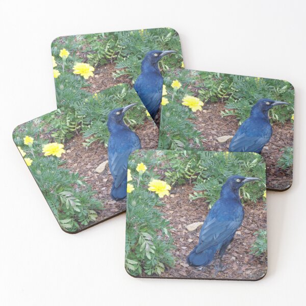 Item preview, Great-Tailed Grackle designed and sold by CosmicGrant.