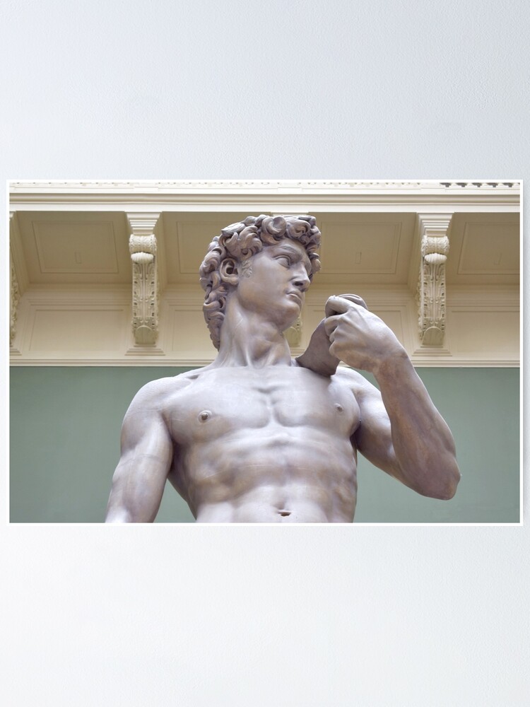 "Michelangelo's David" Poster for Sale by ZoologyStudy Redbubble