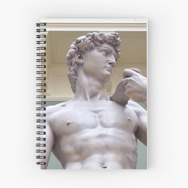 Artikelvorschau, Michelangelos David entworfen und verkauft von ZoologyStudy.