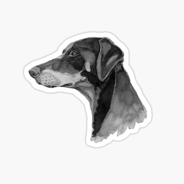 Doberman Sticker