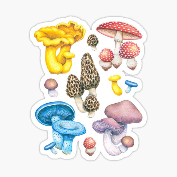 Item preview, Mushrooms! designed and sold by Wildlings and Endlings.