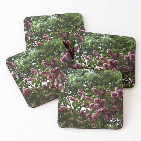 Artikelvorschau, Sensation Lilac 35mm Filmfotografie entworfen und verkauft von Lake Shore Prints.