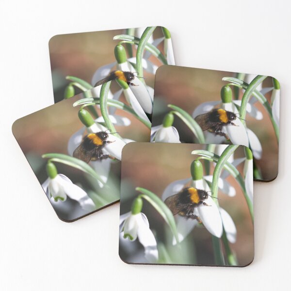 Item preview, Bumblebee on a snowdrop designed and sold by GreyFeatherPhot.
