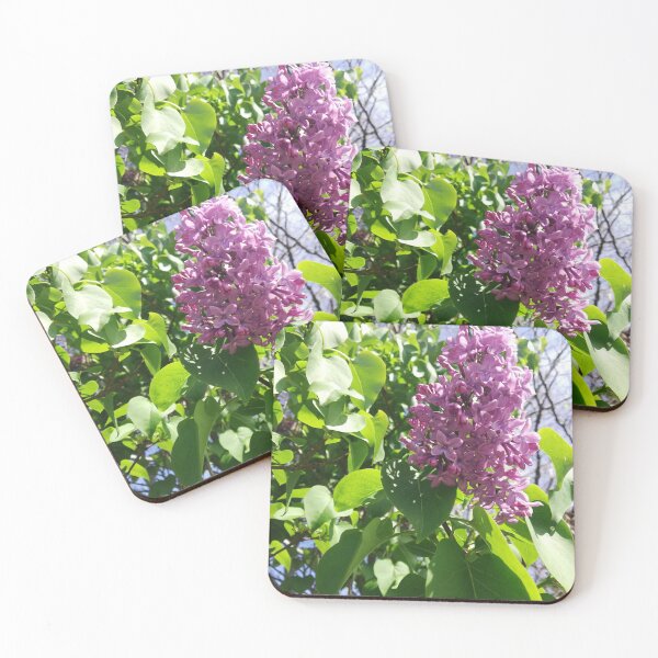 Item preview, Single lilac blossom photograph  designed and sold by esvb.