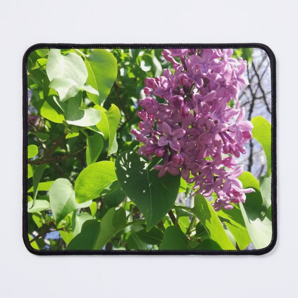 Item preview, Single lilac blossom photograph designed and sold by esvb.