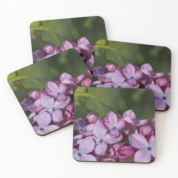 Item preview, Lilacs p1 designed and sold by Cblifeisgood.