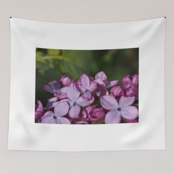 Item preview, Lilacs p1 designed and sold by Cblifeisgood.