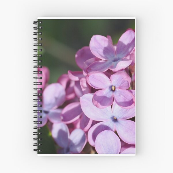 Item preview, Lilacs p2 designed and sold by Cblifeisgood.