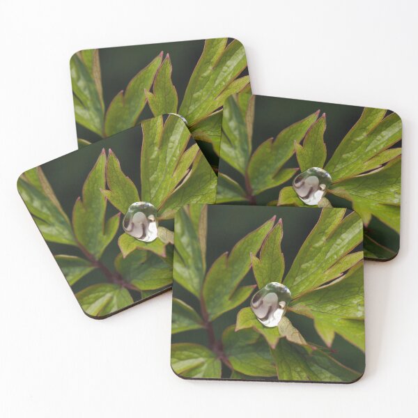 Item preview, Raindrop in middle of Bleeding Heart leaves designed and sold by Cblifeisgood.