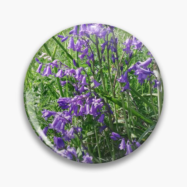 Item preview, Bluebells in the sun photograph  designed and sold by esvb.