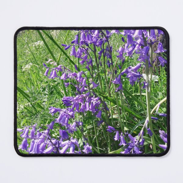 Item preview, Bluebells in the sun photograph designed and sold by esvb.