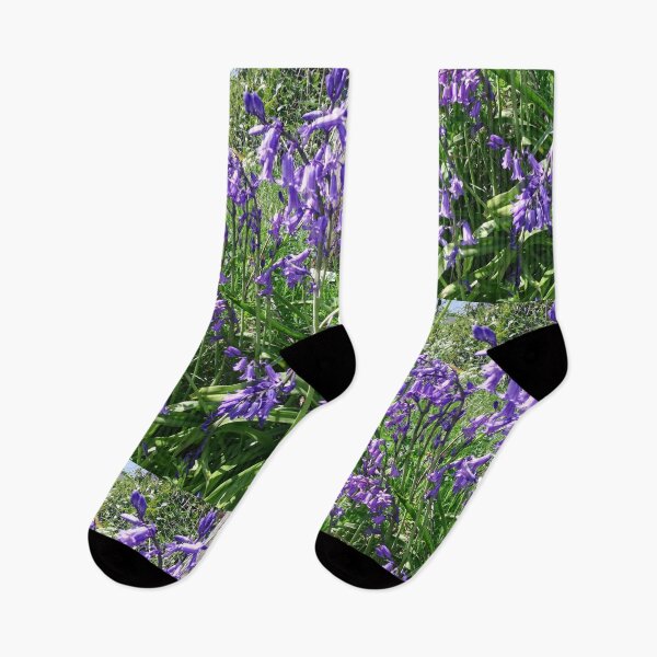 Item preview, Bluebells in the sun photograph  designed and sold by esvb.