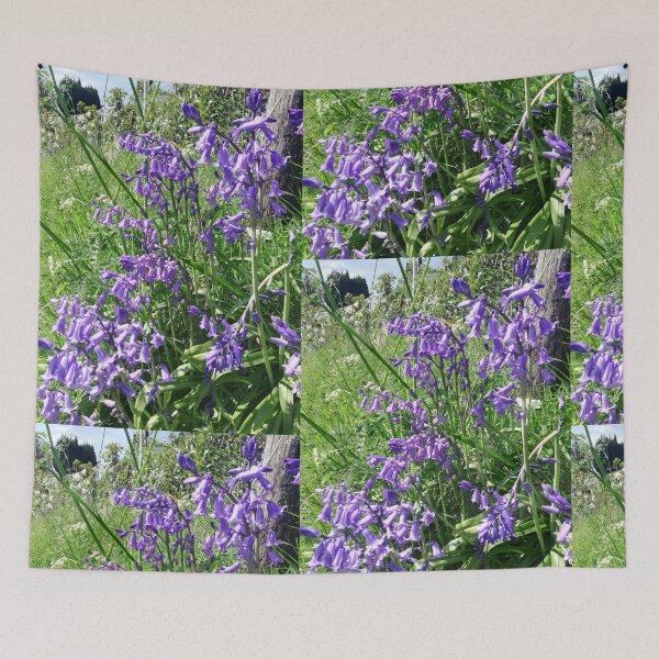 Item preview, Bluebells in the sun photograph  designed and sold by esvb.