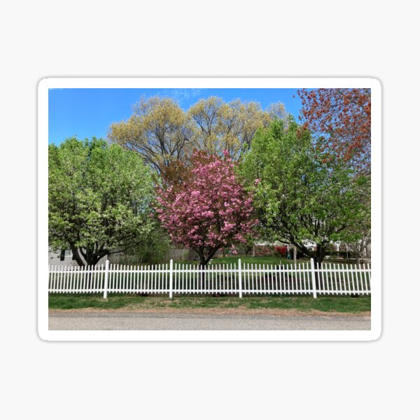 Item preview, Springtime Trees behind a Picket Fence  designed and sold by Amanda1775.