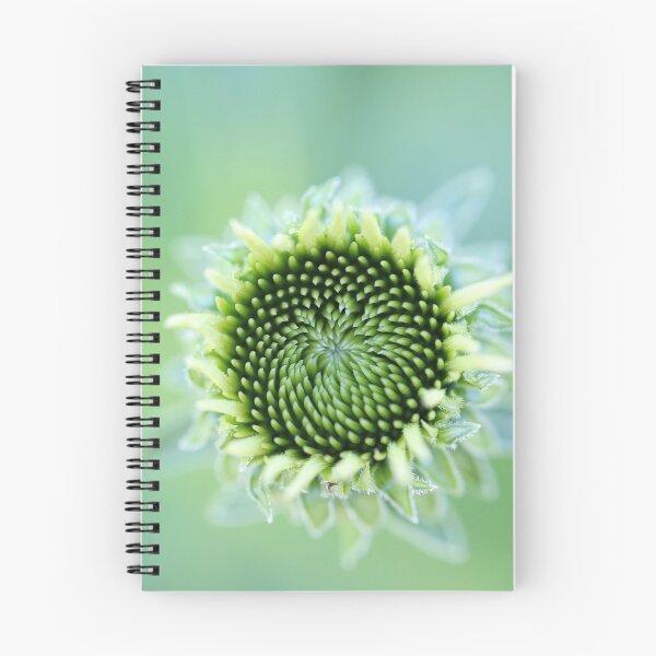 Aperçu de l'œuvre Plante verte sur le bokeh vert créée et vendue par FactorFourPhoto.