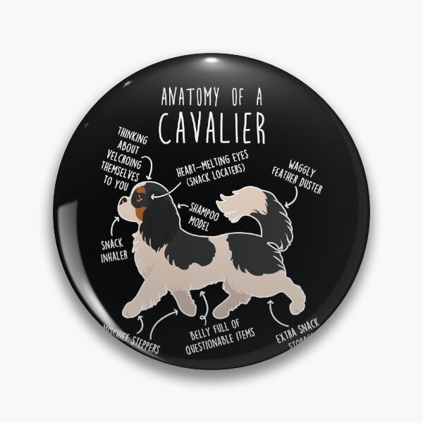 Item preview, Tri-Color Cavalier King Charles Spaniel Dog Anatomy designed and sold by Clara Hollins.