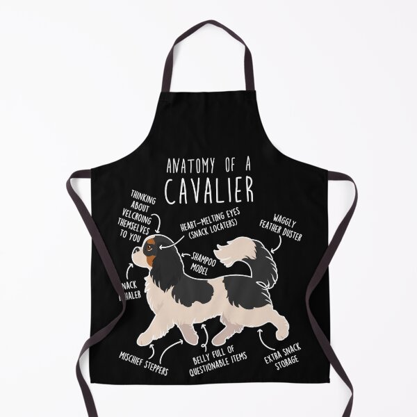 Item preview, Tri-Color Cavalier King Charles Spaniel Dog Anatomy designed and sold by Clara Hollins.