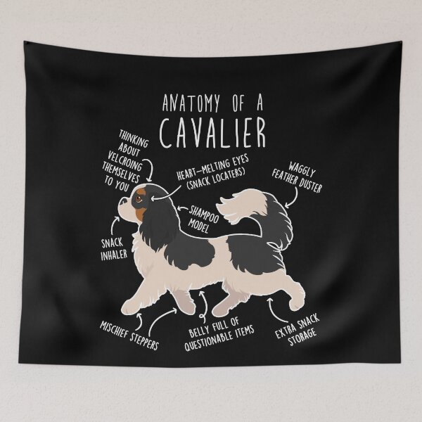 Item preview, Tri-Color Cavalier King Charles Spaniel Dog Anatomy designed and sold by Clara Hollins.