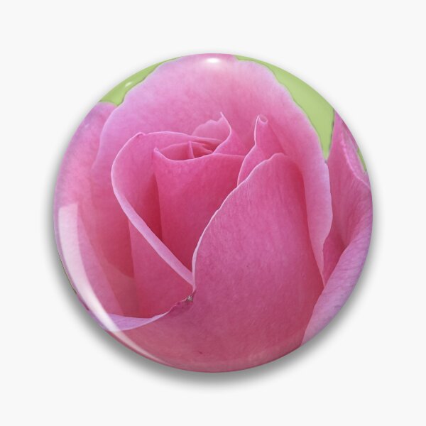 Item preview, Soft Pink Rose – Romantic Floral Beauty in Bloom designed and sold by RhyAndBlues.