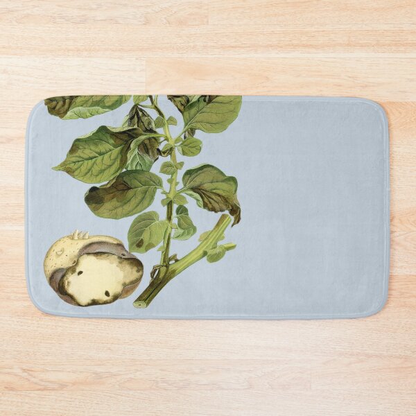 Item preview, Late Blight of Potato - (cut-away) designed and sold by BiosecurityColl.