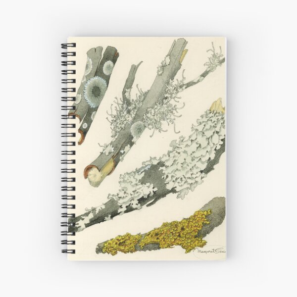 Item preview, Lichens designed and sold by BiosecurityColl.