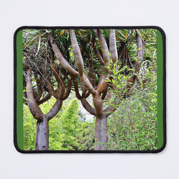 Item preview, Dragon Trees with Black Bamboo designed and sold by Martha Sherman.