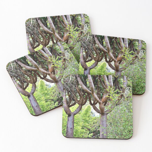 Item preview, Dragon Trees with Black Bamboo designed and sold by Martha Sherman.