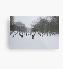 War Graves Metal Print