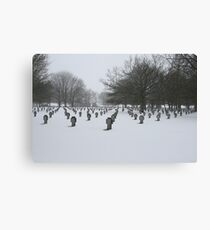 War Graves Canvas Print