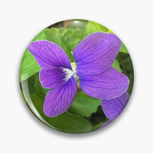 Item preview, Wild Violets  designed and sold by Amanda1775.
