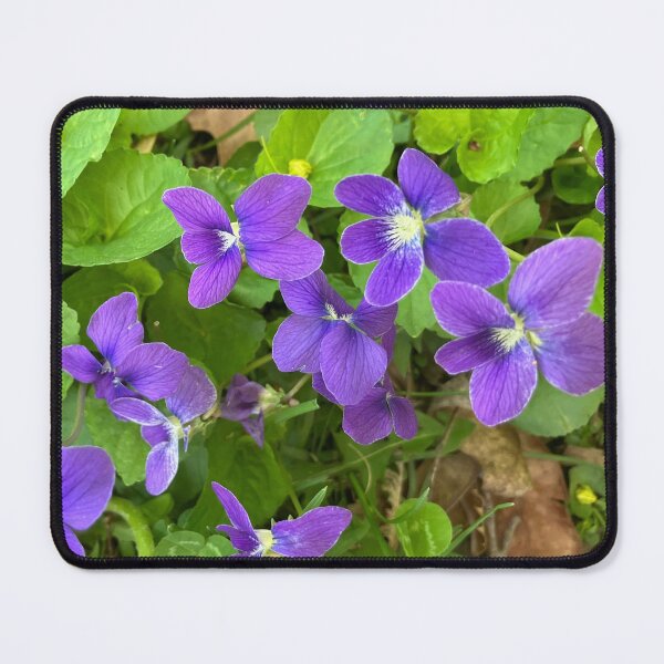 Item preview, Wild Violets designed and sold by Amanda1775.