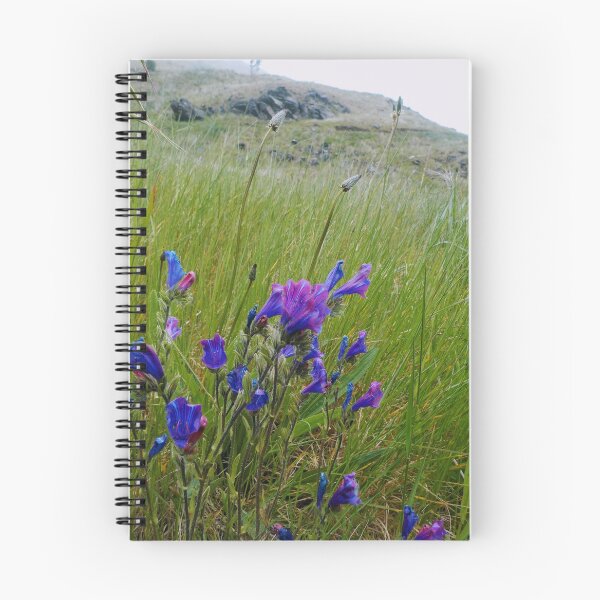 Item preview, Funchal, Portugal designed and sold by SoRich.