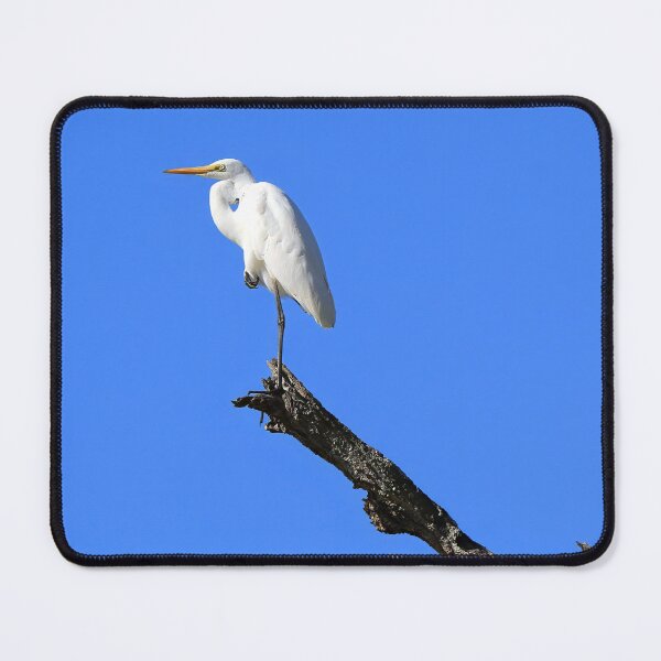 Item preview, Egret standing on a branch designed and sold by BirdsAlive.