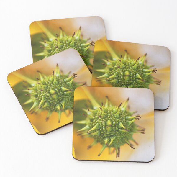 Item preview, Sweet Gum Tree Ball Seedpod  designed and sold by Joy Watson - Natural Light Photography .