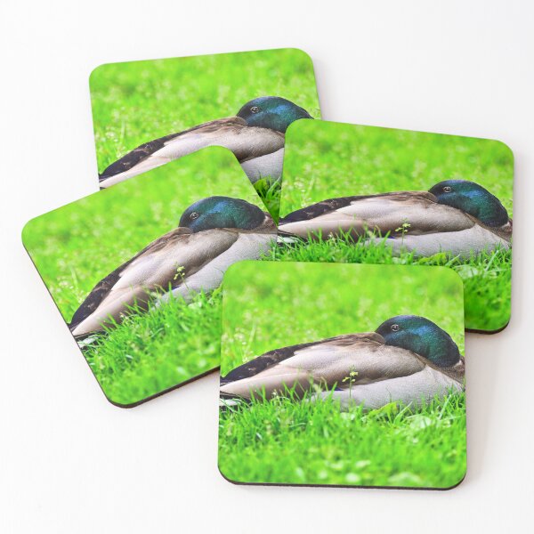 Item preview, Mallard duck lying on the grass,spring season,nature designed and sold by goceris.