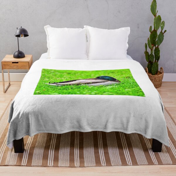 Item preview, Mallard duck lying on the grass,spring season,nature designed and sold by goceris.