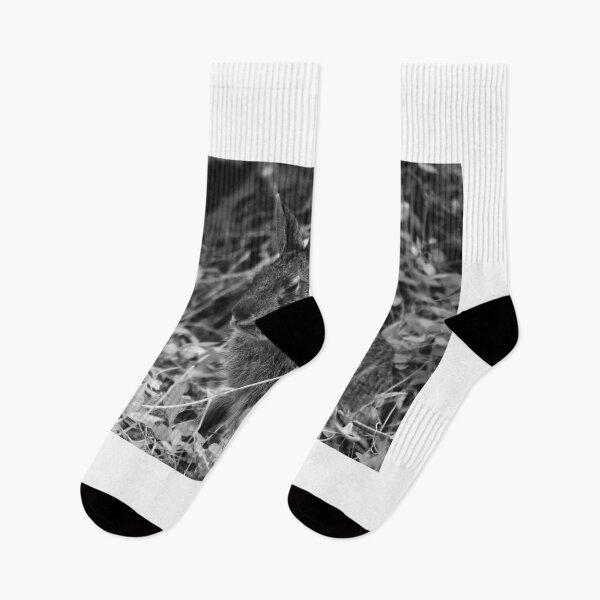 Item preview, Wild Rabbit Black And White designed and sold by MercerImages.